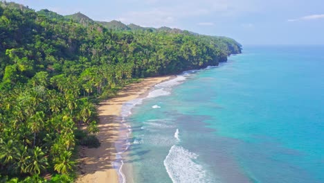 Idyllic-remote-tropical-beach-on-Caribbean-coast,-fringed-by-palms