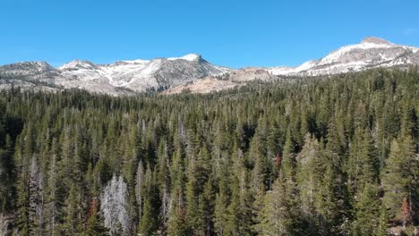 Bosque-De-Vista-Aérea-Y-Cordillera-De-Sierra-Nevada-En-El-Fondo,-Paisaje-Natural-De-California