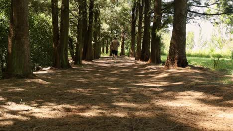 Man-jogging-through-the-forest-with-pine-needles-on-the-floor