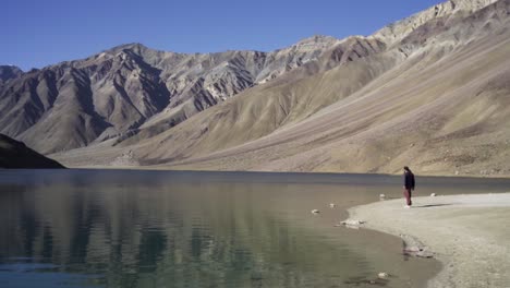 Young-man-enjoying-the-nature-and-feeling-the-beauty-of-chandratal-lake,-Himachal-Pradesh