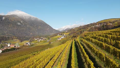 Flugdrohne-über-Den-Weinbergen-Im-Herbst-In-Neustift,-Südtirol