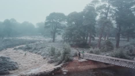 Cinematic-drone-footage-flying-towards-a-bridge-and-ancient-Scots-pine-trees-over-fast-flowing-river-through-freezing-fog