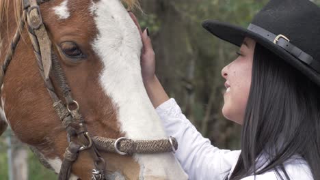 Beautiful-brown-horse-being-petted-by-her-Cowgirl