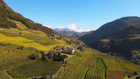 Aerial-Drone-Over-the-Vineyards,-and-the-church-of-st