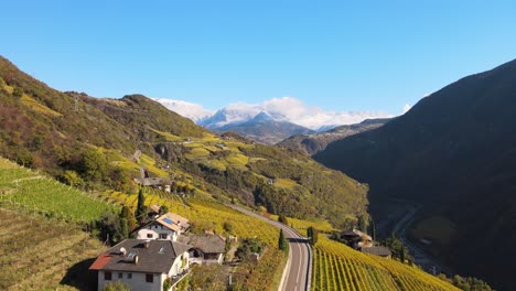 Aerial-Drone-Over-the-Vineyards-in-Autumn-in-Ritten,-Alto-Adige-in-Italy