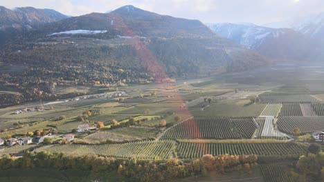 Aerial-Drone-Over-the-Vineyards-in-Italy