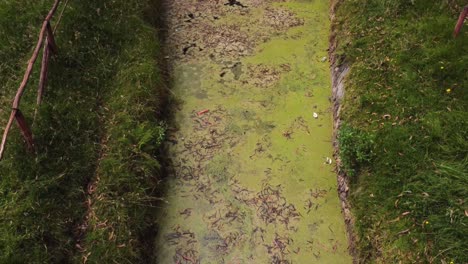 Fliegende-Drohne-über-Einem-Verschmutzten-Fluss-In-Ecuador
