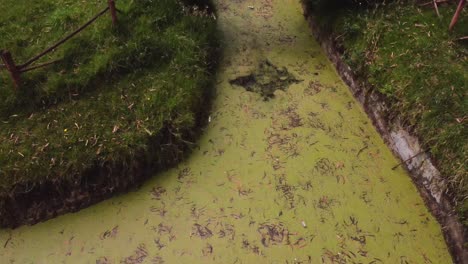 Einer-Der-Verschmutzten-Flüsse-Ecuadors
