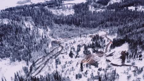 Aerial-drone-shot-flying-over-timber-logging-camp-in-snow-covered-mature-pine-tree-forest-in-northern-territories