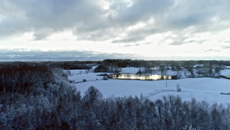 Luftvorwärtsflug-über-Verschneite-Waldlandschaft-Und-Natürlichen-See-An-Bewölkten-Tagen-Im-Winter