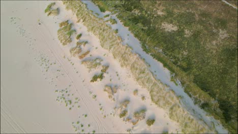 Top-down-aerial-view-of-grass-and-sand-on-Monster-Beach