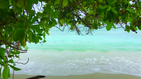 Static-view-from-behind-tropical-vegetation-of-turquoise-sea-water-waves-breaking-on-the-shore