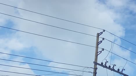 Vista-Estática-Del-Poste-De-Luz-Con-Cables-Y-Pájaros-Volando-Sobre-Ellos