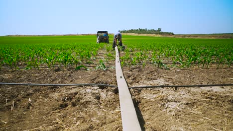 farmer-installs-a-drip-system-in-a-corn-field