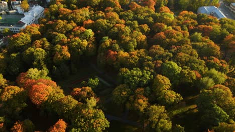 A-beautiful-aerial-view-of-dense-woody-terrain-with-colorful-autumn-foliage,-orange-and-red-leafs