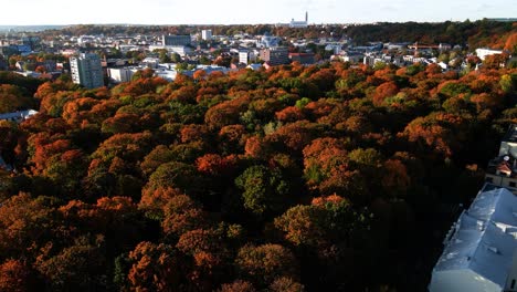 Eine-Schöne-Luftaufnahme-Von-Dichtem-Waldigem-Gelände-Mit-Buntem-Herbstlaub,-Orangefarbenen-Und-Roten-Blättern-In-Kaunas,-Litauen