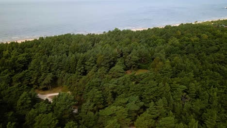 Tracking-aerial-shot-of-a-scenic-green-pine-wood-forest-near-the-Baltic-see-from-above-in-Palanga,-Lithuania