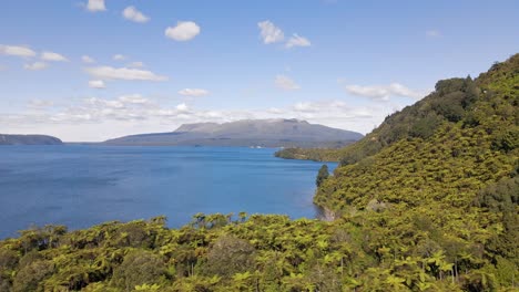 Mount-Tarawera-in-the-distance-visible-behind-a-lake-and-its-shore,-overgrown-by-numerous-palm-trees-and-dense-bushland