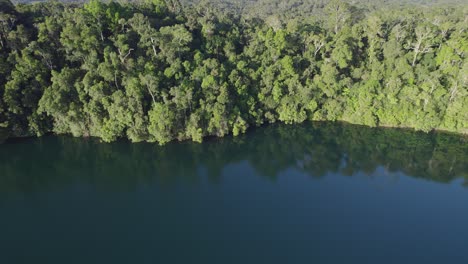 Green-Vegetation-Reflecting-On-The-Calm-Waters-Of-Lake-Eacham-In-Atherton-Tableland,-Queensland,-Australia---aerial-drone-shot