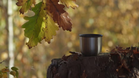 Cup-or-mug-on-tree-stump-in-forest,-moving-autumn-leaves,-stable-copy-space-background