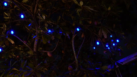 Looking-Up-At-Hanging-Flashing-Lights-On-Tree-At-Night