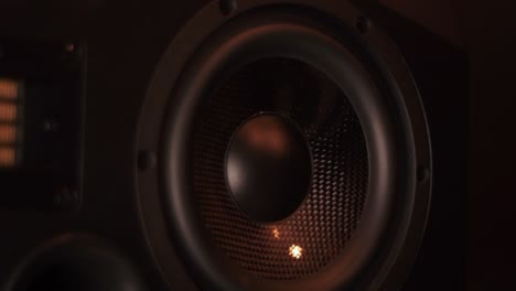 Close-up-shot-of-a-bass-bouncing-the-subwoofer,-black-colour