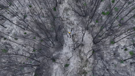 Aerial-view-above-upset-man-walking-through-apocalyptic-woodland-wildfire-natural-disaster