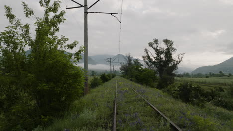 Ferrocarril-En-Ruinas-Cubierto-De-Hierba-Y-Flores-Silvestres-Cerca-De-Atskuri,-Georgia