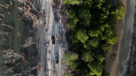 Aerial-top-down-shot-of-cars-driving-on-sandy-path-in-Brazilian-Woodland