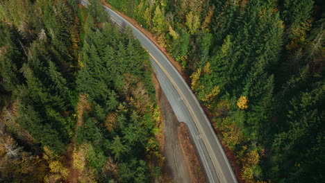 Aerial-shot-of-beautiful-American-road-located-in-washington-state