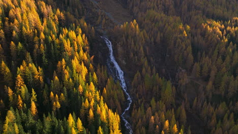 Waterfall-surrounded-by-Ahrntal-Casere-pristine-Autumn-woodland-national-park-aerial-view,-South-Tyrol