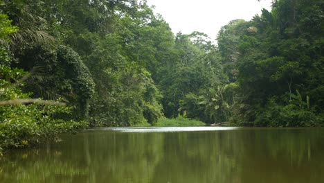 Boat-ride-through-dense-jungle