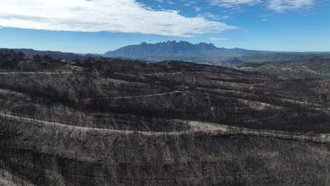 Aerial-shot-of-burned-forest-and-Montserrat-mountain-aerial