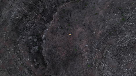 Person-Walking-Through-Remains-Of-A-Burnt-Forest-In-El-Pont-de-Vilomara,-Spain---aerial-top-down