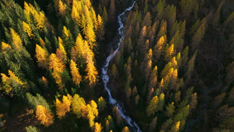 Waterfall-cascading-through-Ahrntal-Casere-pristine-Autumn-woodland-valley-aerial-view,-South-Tyrol