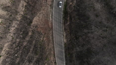 aerial-view-of-car-driving-through-burnt-woodlands,-zooming-out