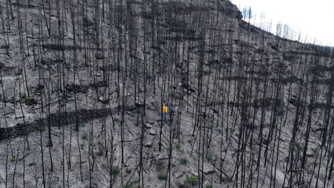 Aerial-tracking-shot-of-man-in-yellow-coat-walking-through-burned-forest