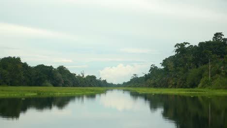 Boat-ride-on-calm-jungle-river-reflecting-the-nature