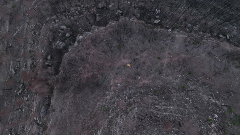 Bird's-Eye-View-Of-Man-Walking-Through-Burnt-Forest-Area-In-El-Pont-de-Vilomara,-Spain---drone-shot