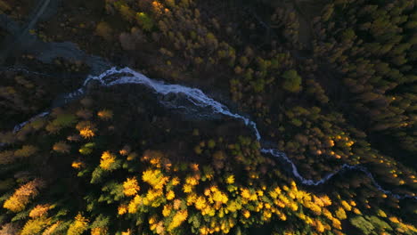 Aerial-view-rising-over-Ahrntal-Casere-valley-waterfall-cascading-through-pristine-gold-autumn-woodland,-South-Tyrol