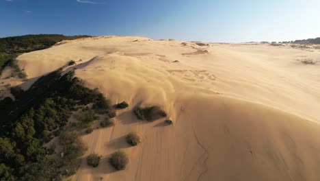 Stunning-New-Zealand-landscape-of-huge-sand-dune,-Ahipara