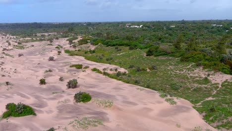 Vista-De-Pájaro-Descendente-Sobre-El-área-Fronteriza-Entre-El-Desierto-Y-La-Zona-De-Vegetación-Verde