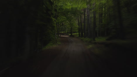 Fast-travel-through-mysterious-fantasy-forest-road-from-the-first-person-view