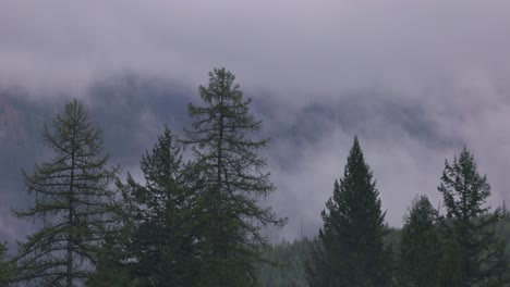 Nebel-In-Den-Bergen-Des-Westgletschers-In-Montana