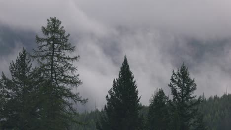 Niebla-Y-árboles-En-Una-Mañana-De-Otoño-En-El-Glaciar-Montana-Del-Oeste