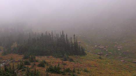 strong-wings-and-dense-fog-blowing-in-the-wing-atop-of-Logans-Pass-in-Glacier-National-Park