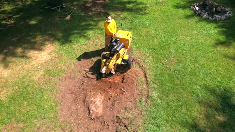 Man-with-hat-stump-grinding-with-yellow-grinder,-drone-overhead-circling-point-of-view