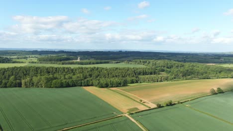 Starker-Wind-Weht-Aus-Drohnensicht-über-Grüne-Getreidefelder-In-Der-Englischen-Landschaft