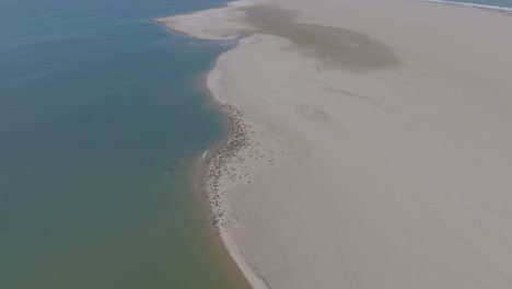 Seal-Colony-on-Beach-of-Pelican-Point,-Walvis-Bay,-Namibia,-Africa---Aerial