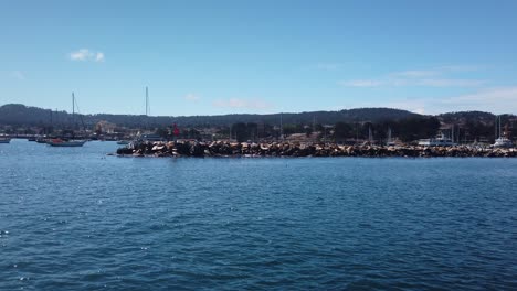 Gimbal-wide-shot-approaching-the-breakwater-on-a-boat-at-the-Port-of-Monterey-in-Monterey,-California